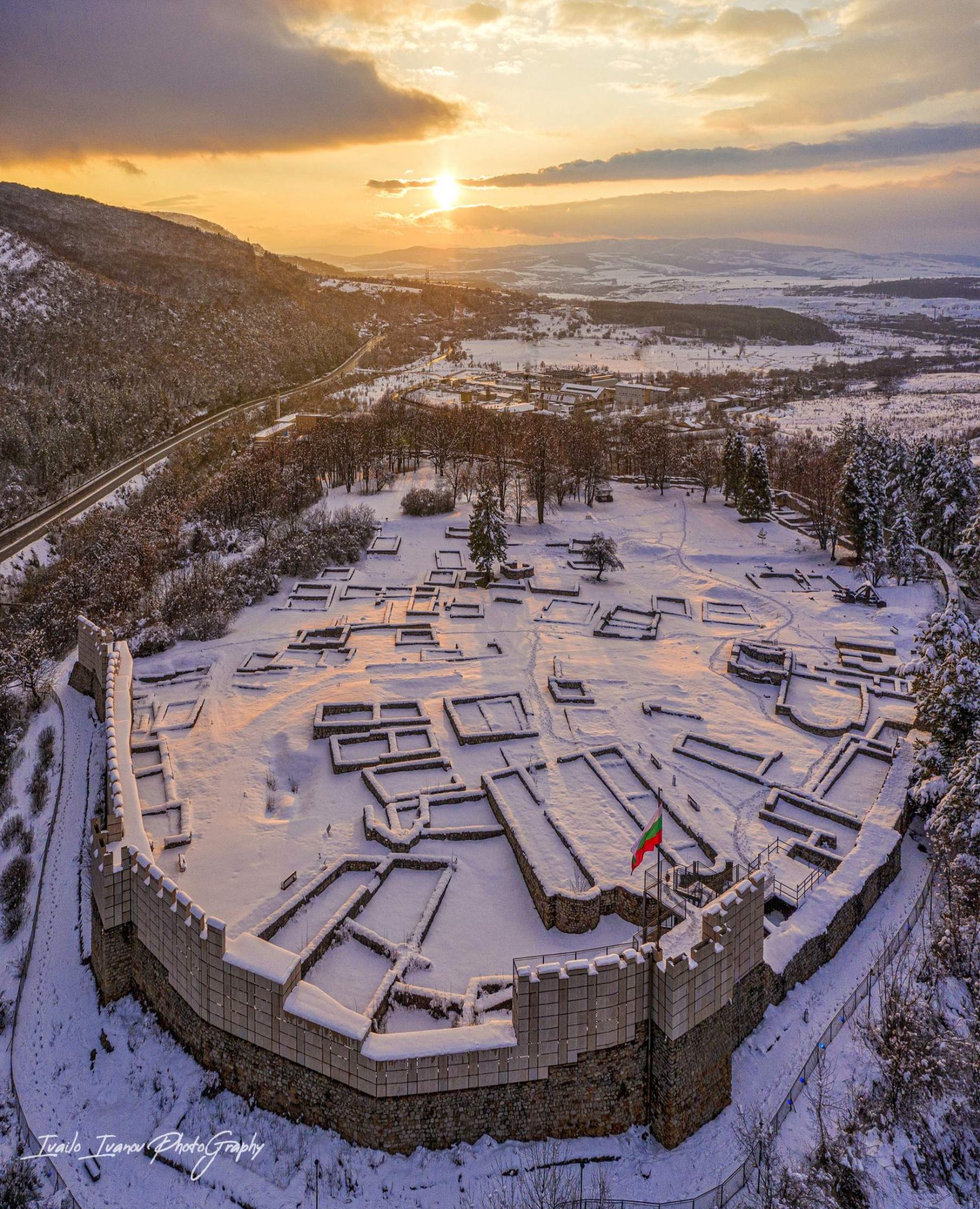 перник компаньонки