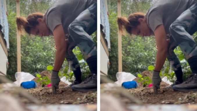 Теди Велинова